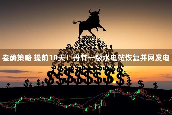 叁酶策略 提前10天！丹竹一级水电站恢复并网发电